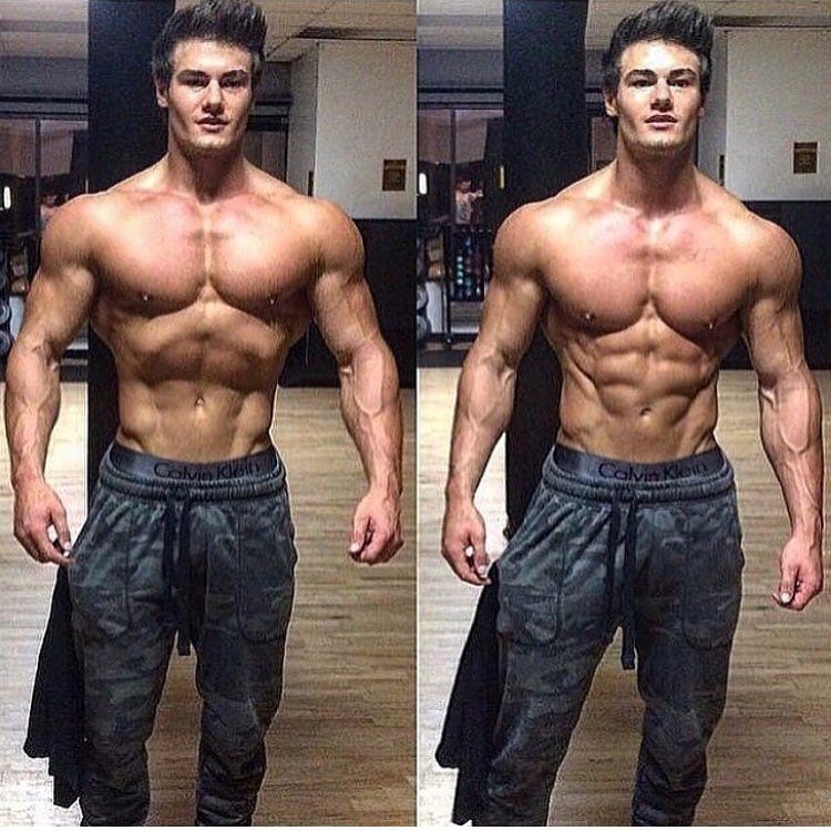 Post 6 by Gainz & Veins on Instagram (image)