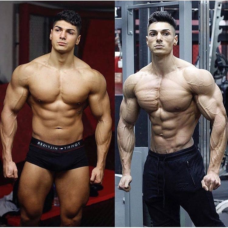 Post 7 by Gainz & Veins on Instagram (image)