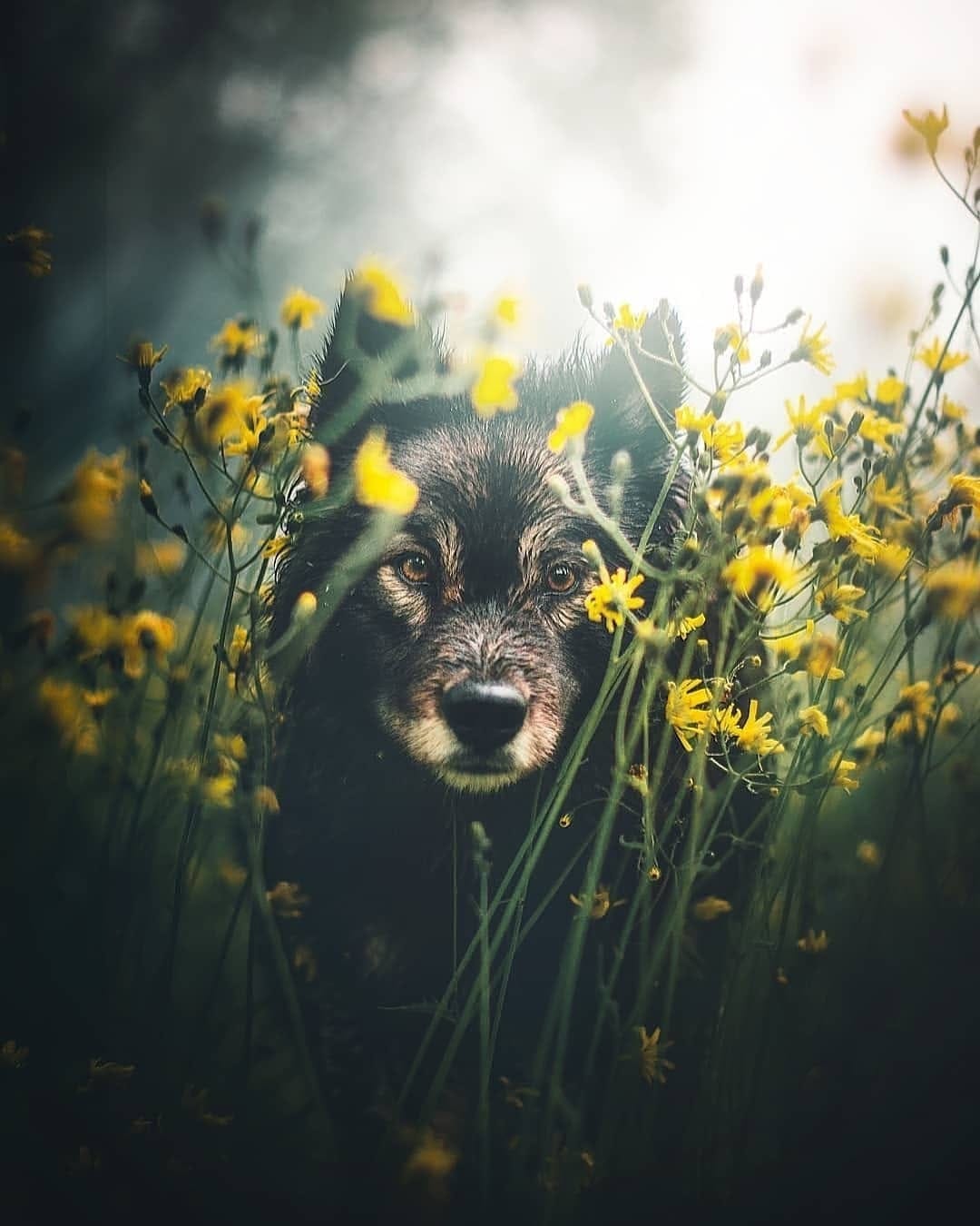 Post 2 by Norway 🇳🇴 on Instagram (image)
