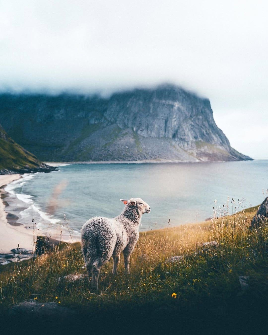 Post 9 by Norway 🇳🇴 on Instagram (image)