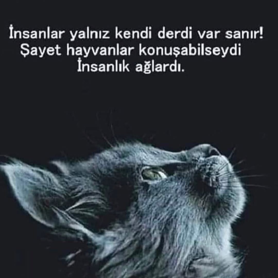 Post 8 by Ailem Dergisi on Instagram (image)