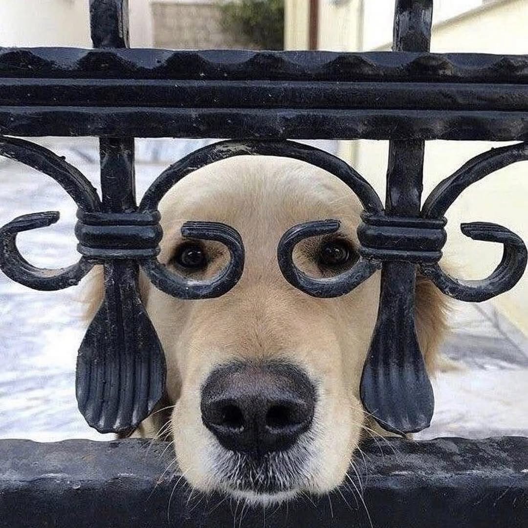 Post 2 by Ailem Dergisi on Instagram (image)