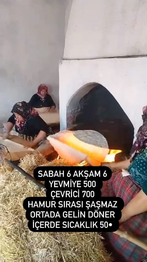 Post 8 by 🍁ÇİTLİ KÖYÜ🍁 on Instagram (video)