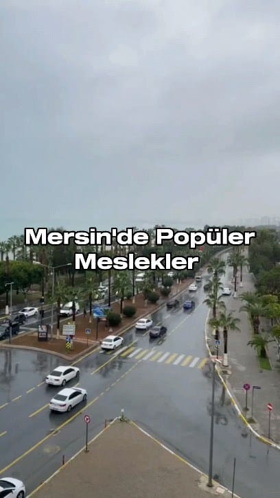 Post 10 by Mersin Abisi on Instagram (video)