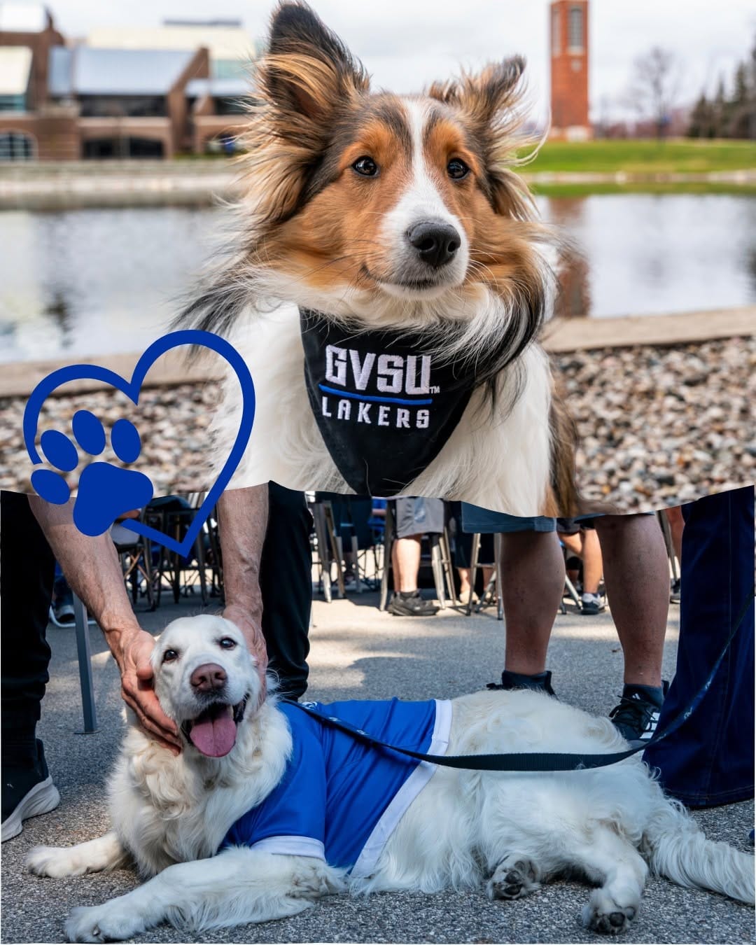 Post 6 by GVSU Alumni on Instagram (carousel)