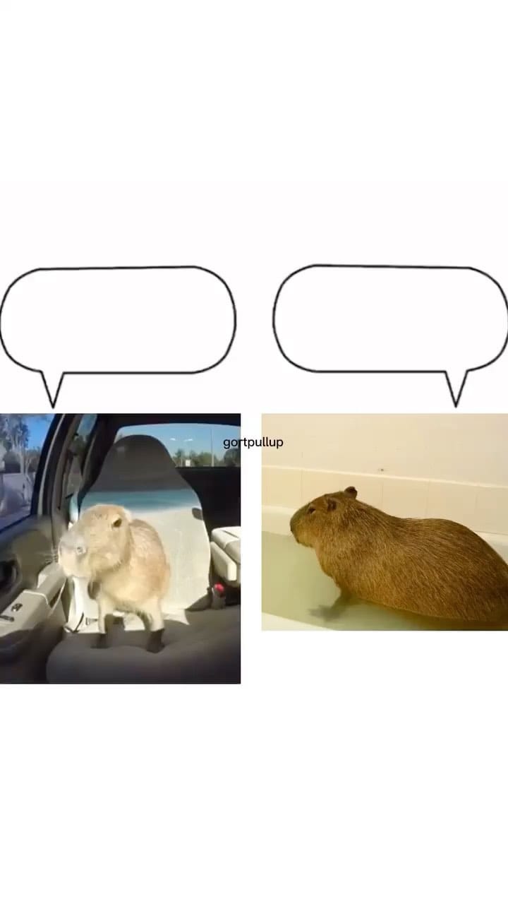 Post 3 by 𝑹𝒐𝒄𝒌𝒆𝒕 𝑴𝒆𝒎𝒆𝒔 🚀 on Instagram (video)