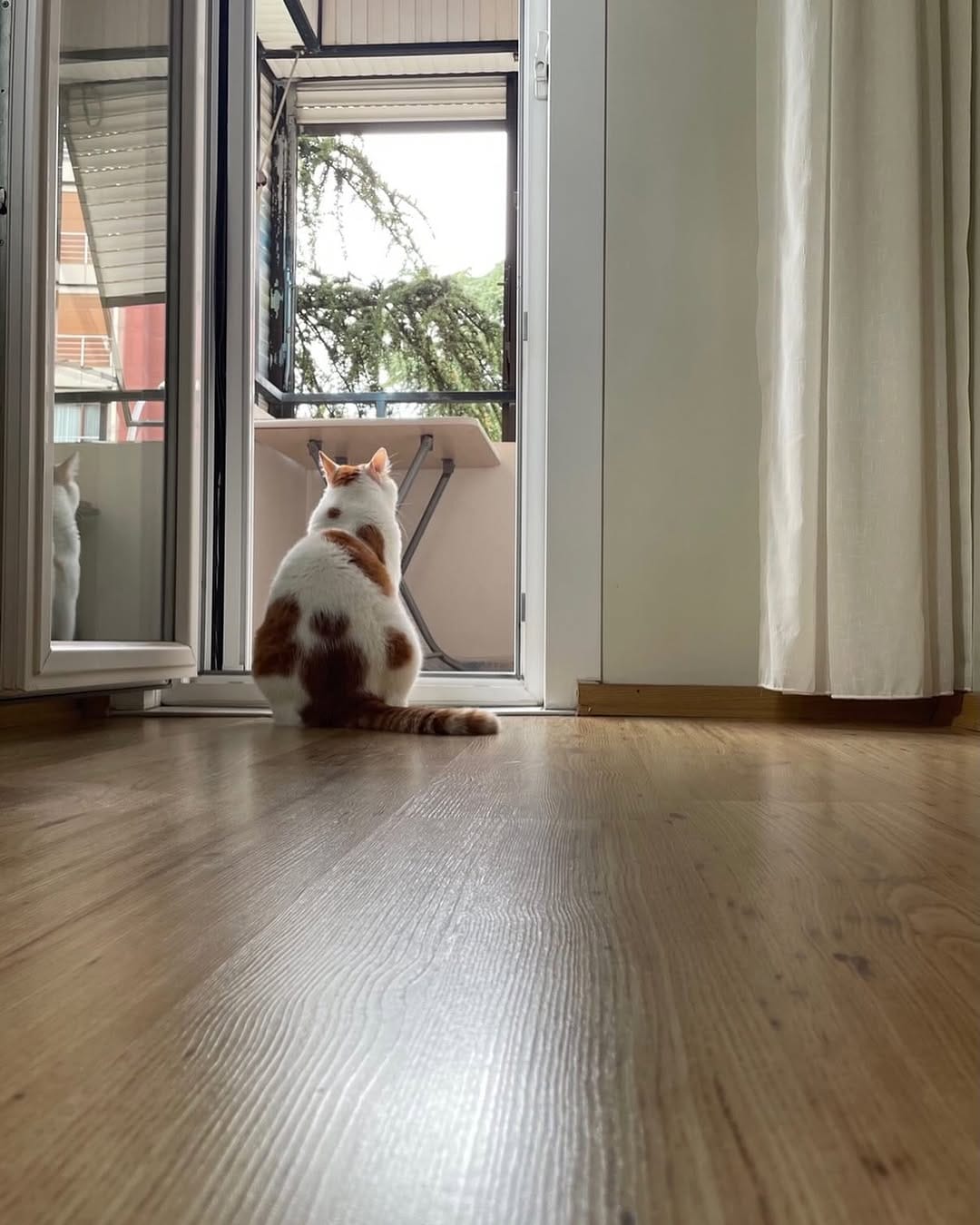 Post 3 by Zeynep Kızıltan Şıkyıldız on Instagram (image)