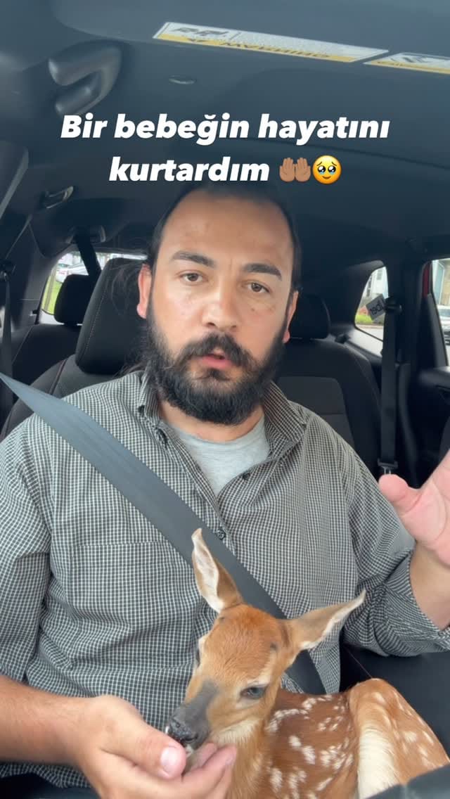 Post 10 by LEVENT YAVUZ on Instagram (video)
