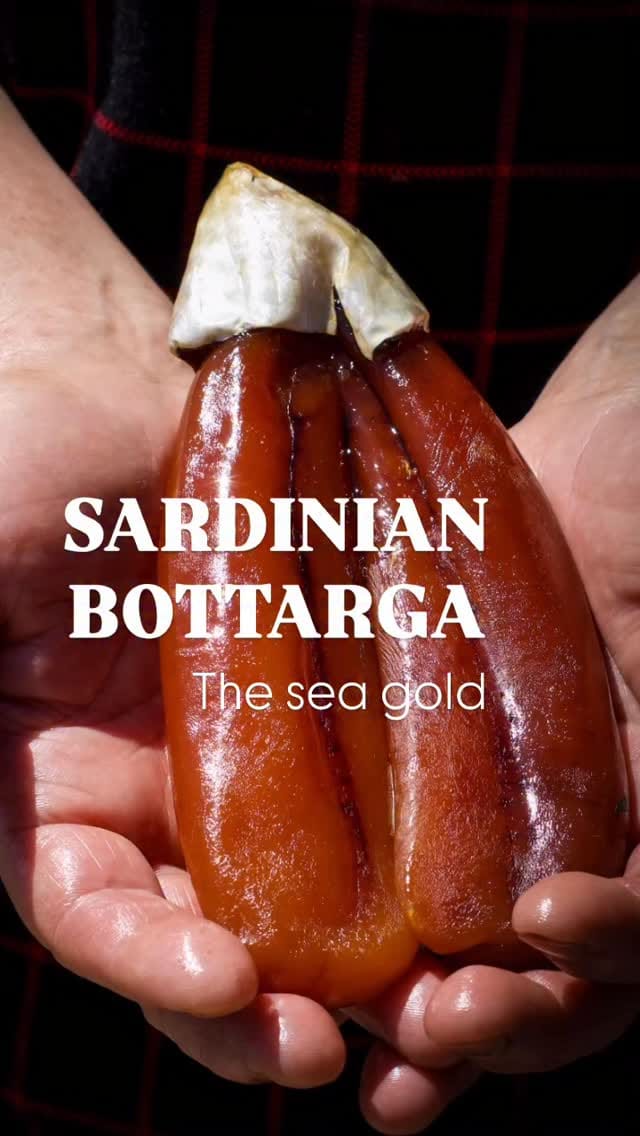 Post 9 by Instagramers Oristano on Instagram (video)