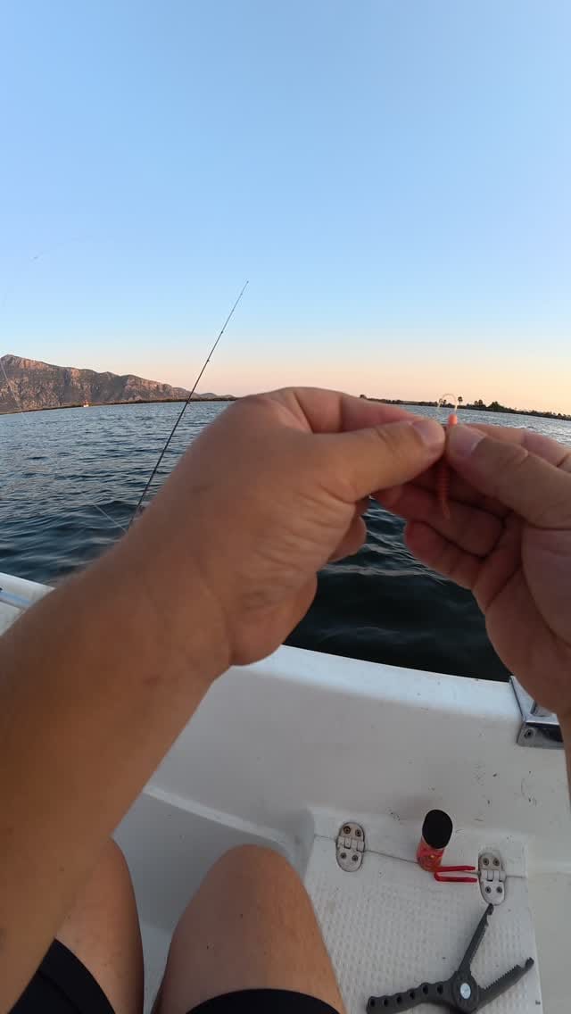 Post 2 by Hamdi Can Yılmaz | H.C.Y Fishing on Instagram (video)