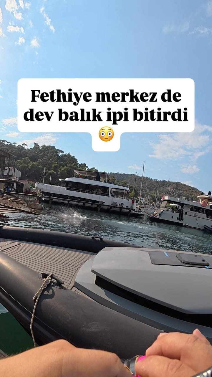 Post 7 by Hamdi Can Yılmaz | H.C.Y Fishing on Instagram (video)