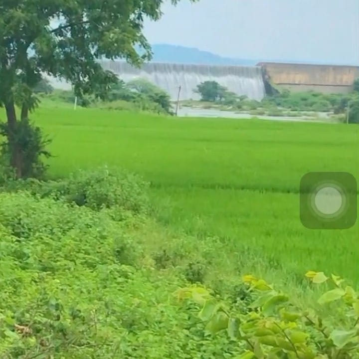 Post 7 by LAXMAN on Instagram (video)