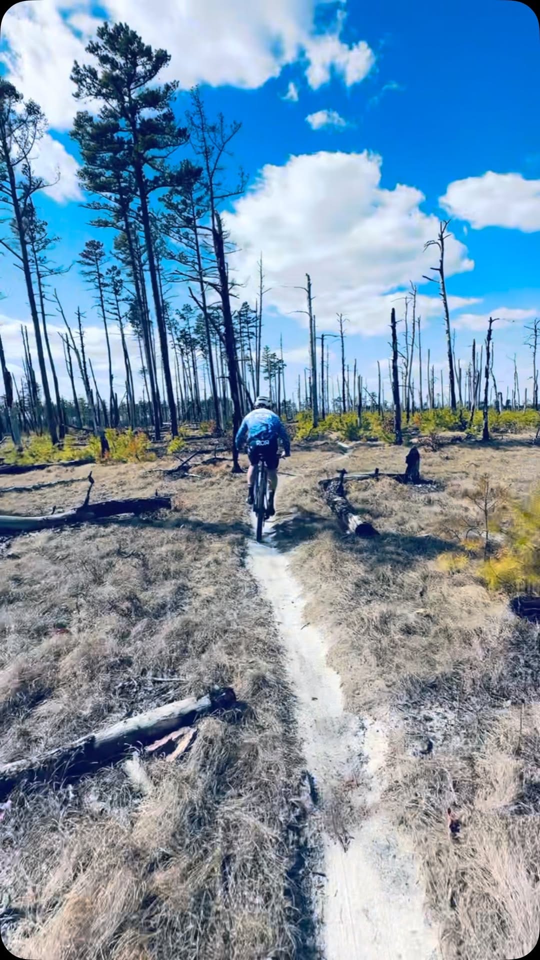 Post 2 by ＣＨΛＤＳＨΛＣＫ on Instagram (video)