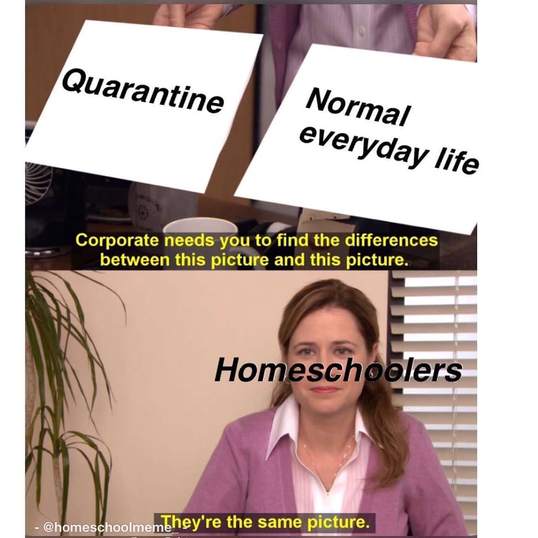 Post 6 by Homeschool Meme on Instagram (image)