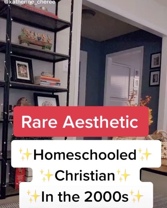 Post 2 by Homeschool Meme on Instagram (video)