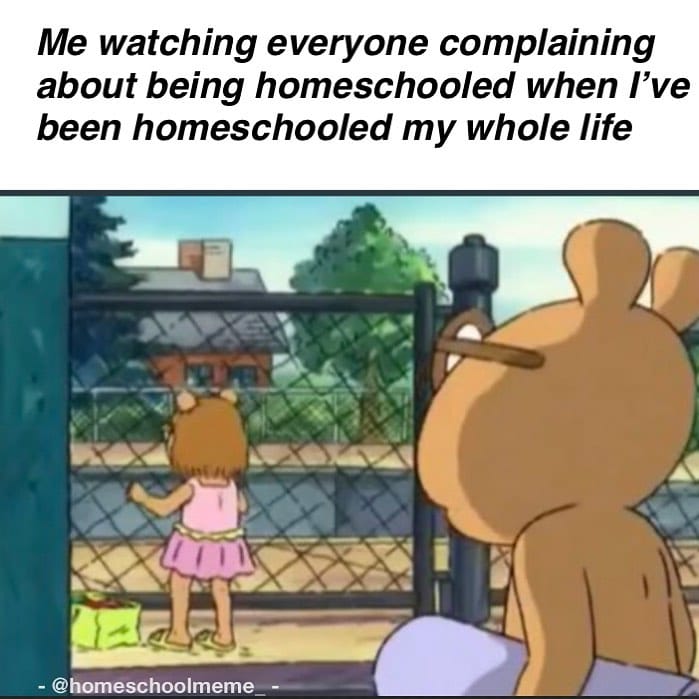 Post 9 by Homeschool Meme on Instagram (image)