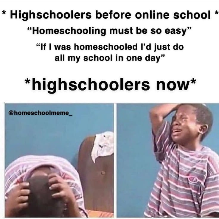 Post 10 by Homeschool Meme on Instagram (image)