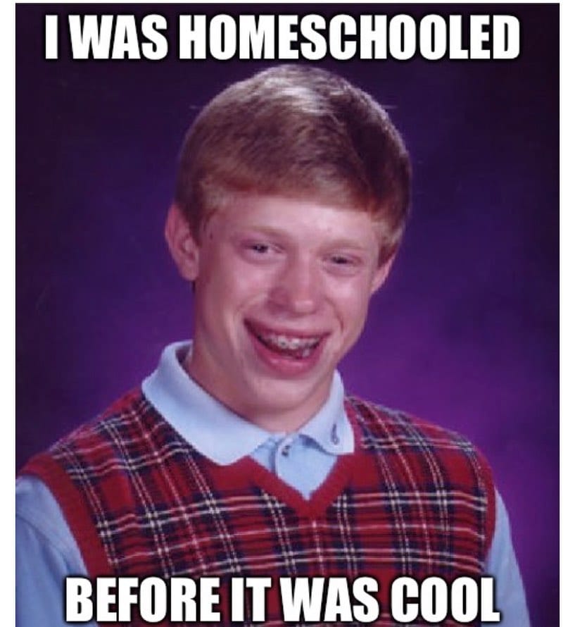 Post 3 by Homeschool Meme on Instagram (image)