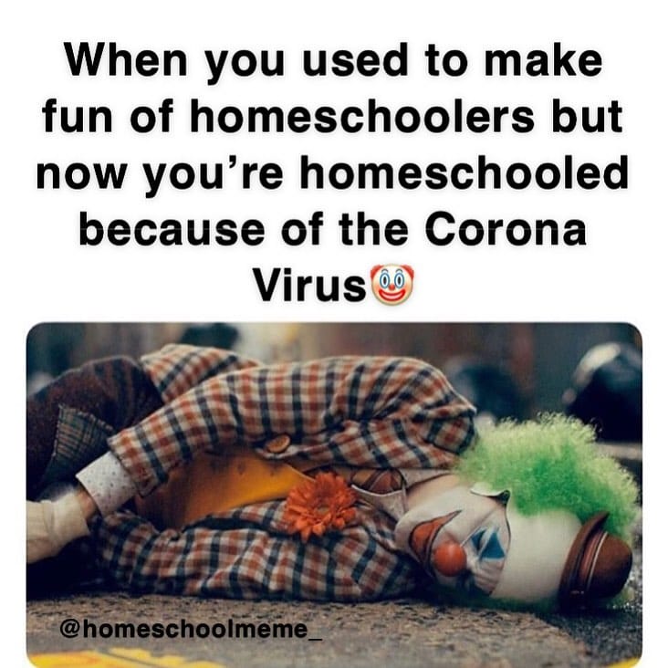 Post 7 by Homeschool Meme on Instagram (image)