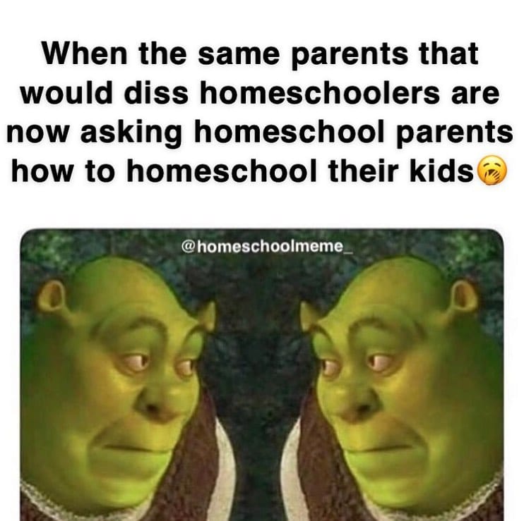 Post 4 by Homeschool Meme on Instagram (image)