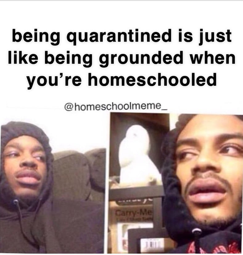 Post 8 by Homeschool Meme on Instagram (image)