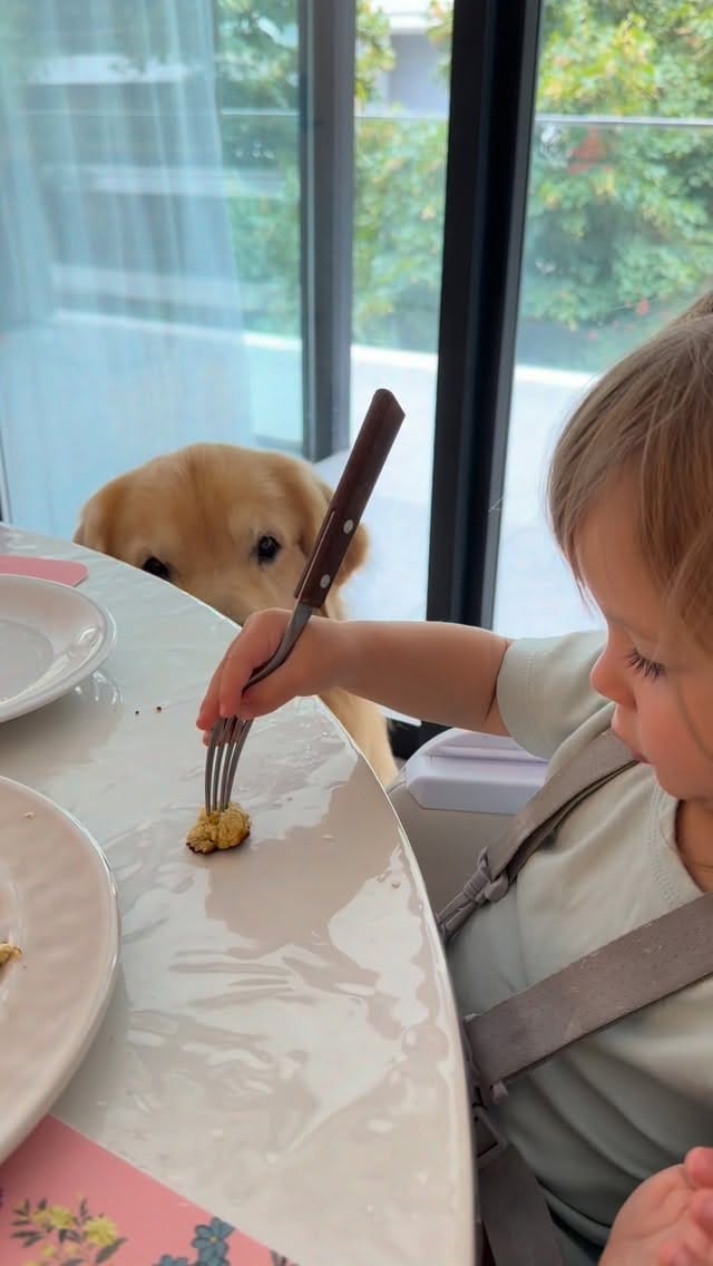 Post 8 by @tresmuygolden on Instagram (video)