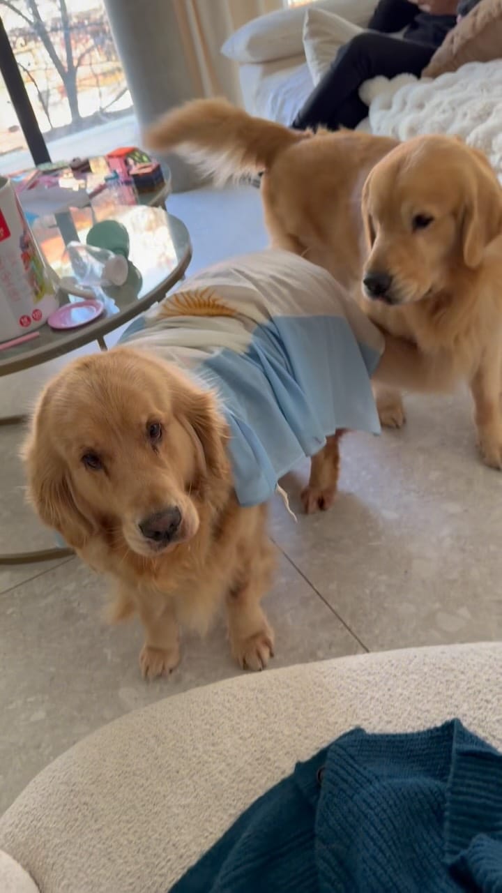 Post 4 by @tresmuygolden on Instagram (video)