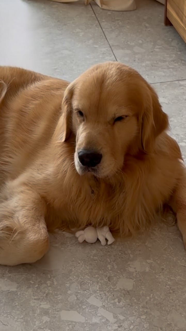 Post 6 by @tresmuygolden on Instagram (video)