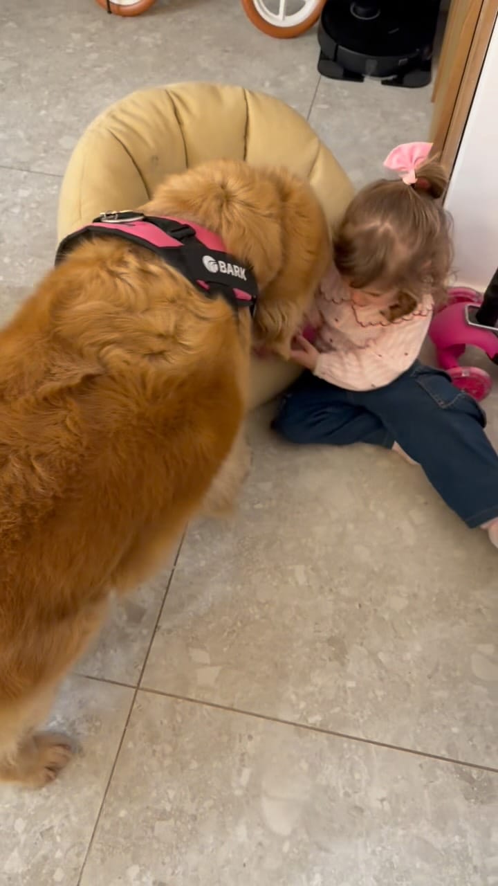 Post 1 by @tresmuygolden on Instagram (video)