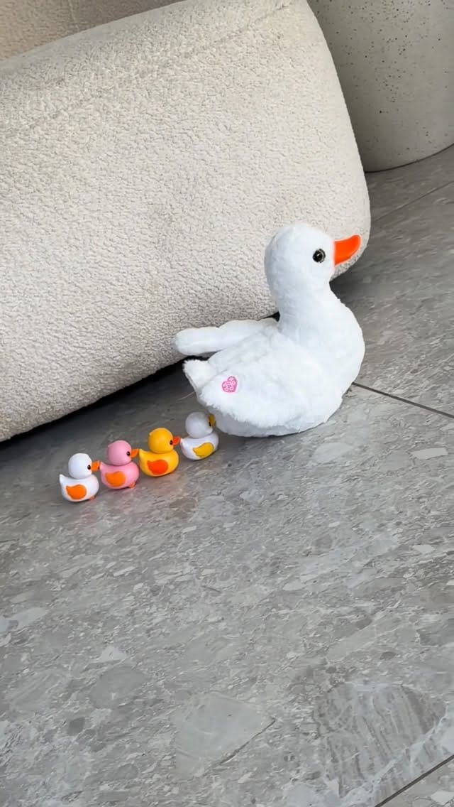 Post 7 by @tresmuygolden on Instagram (video)