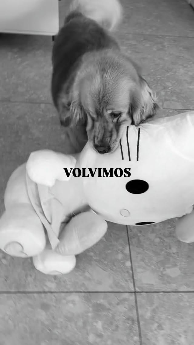 Post 9 by @tresmuygolden on Instagram (video)