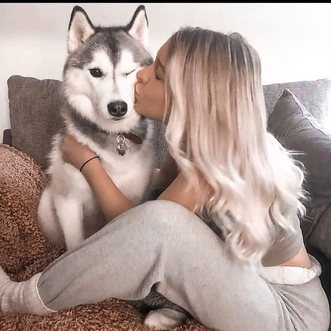 Post 2 by Husky on Instagram (image)