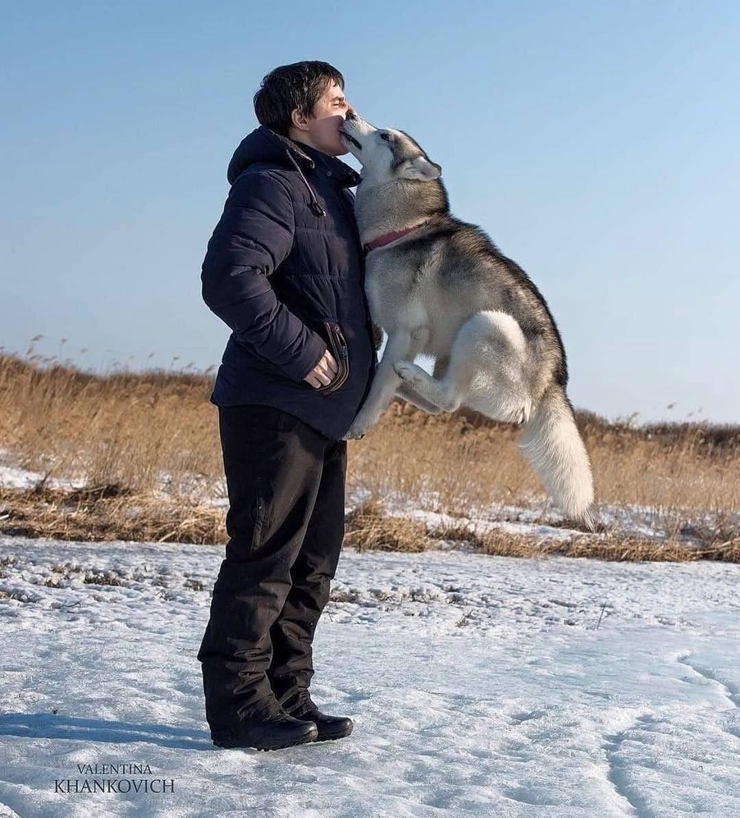 Post 3 by Husky on Instagram (image)