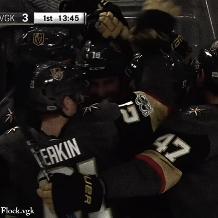 Post 1 by 🏆- Golden Knights FP | 13 🤍 on Instagram (video)