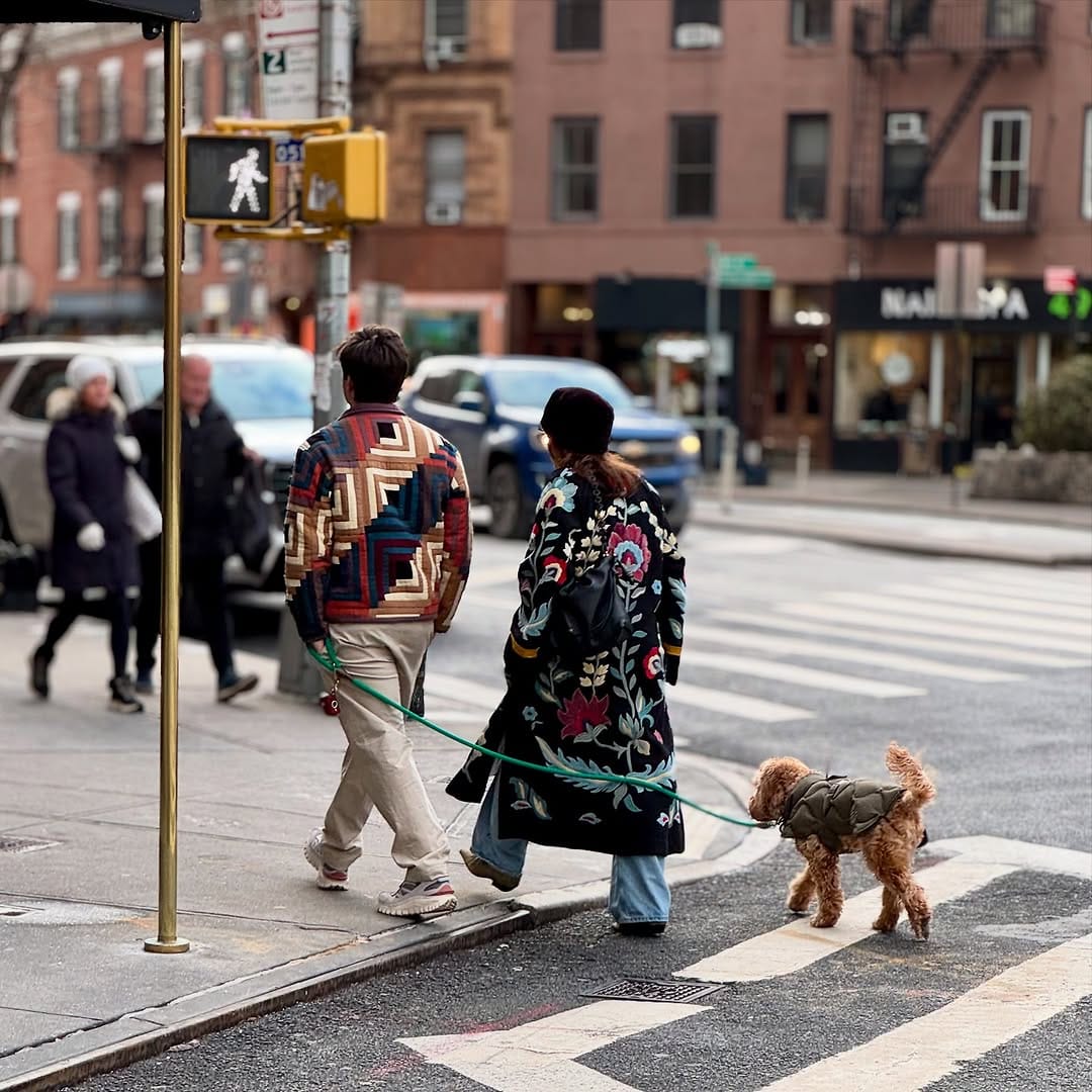 Post 10 by New Yorkers in their Jungle on Instagram (carousel)