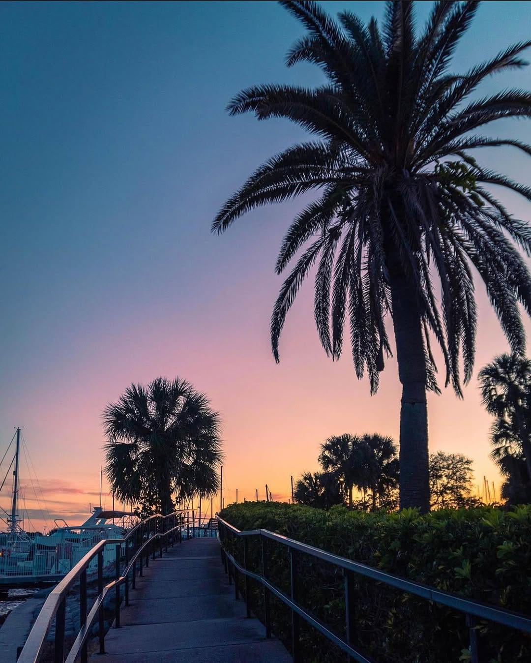 Post 7 by Instagramers St. Pete on Instagram (image)