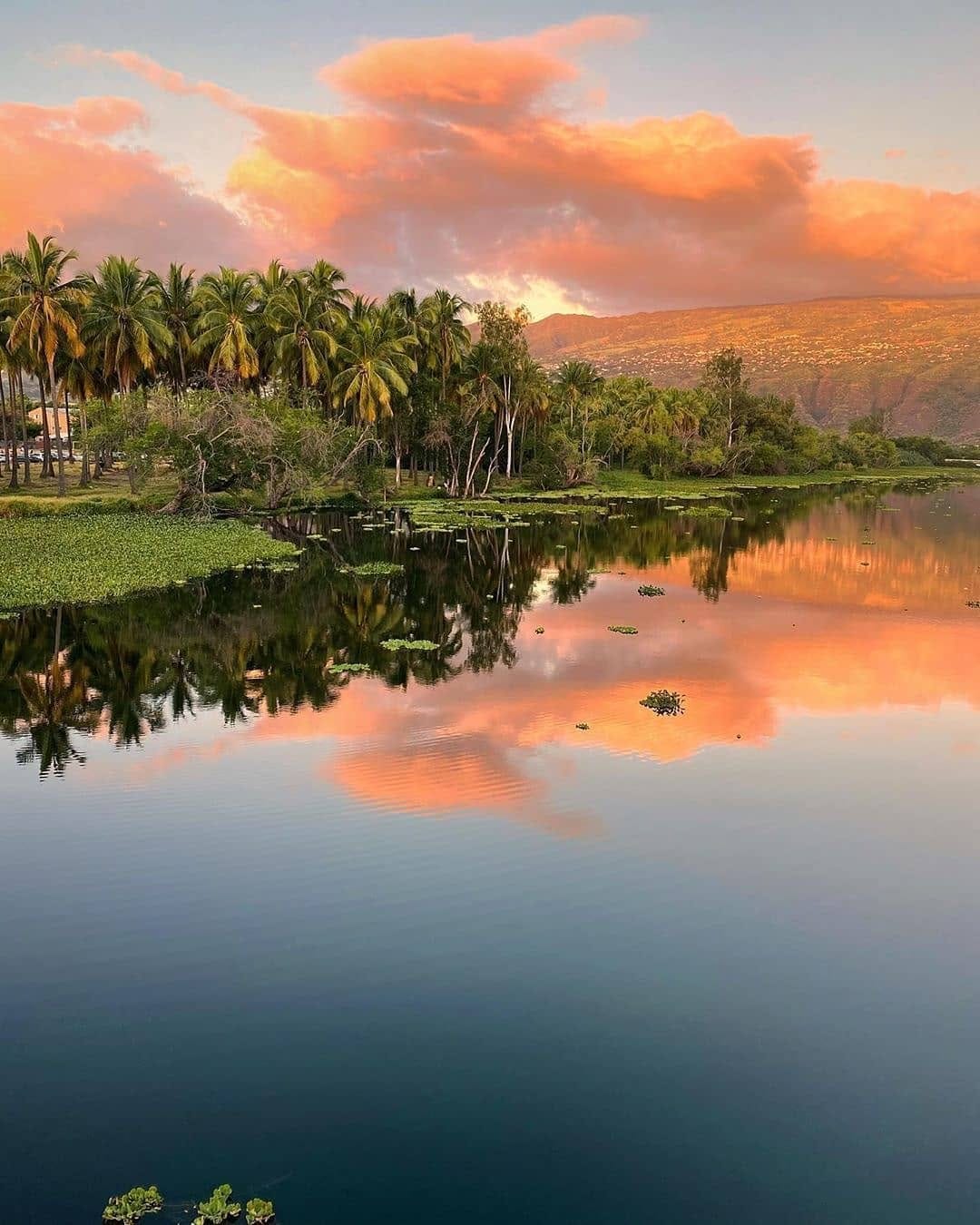 Post 10 by Instagramers Indian Ocean on Instagram (image)