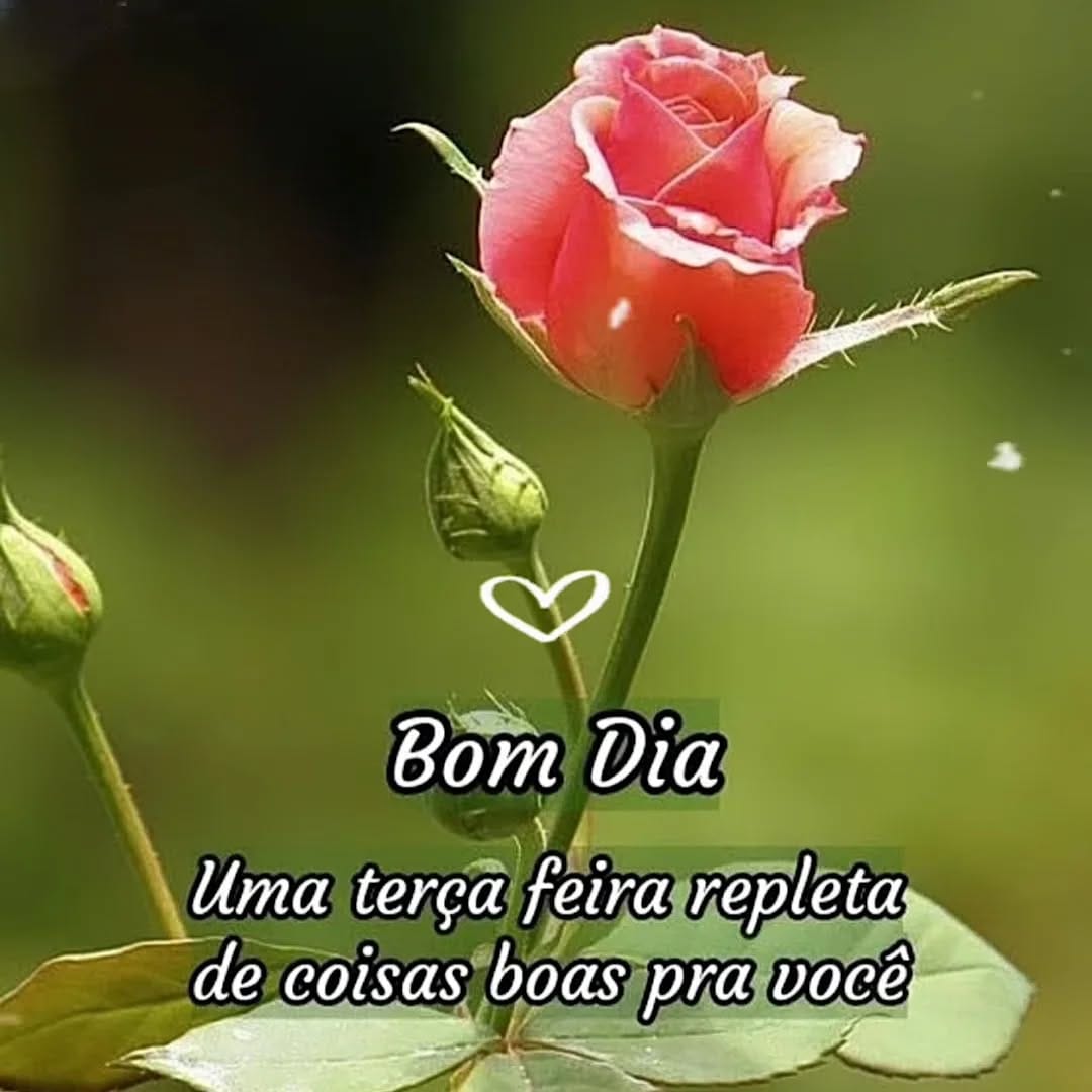Post 3 by Fátima_Padilha on Instagram (image)