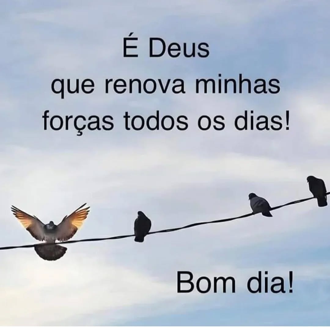 Post 2 by Fátima_Padilha on Instagram (image)