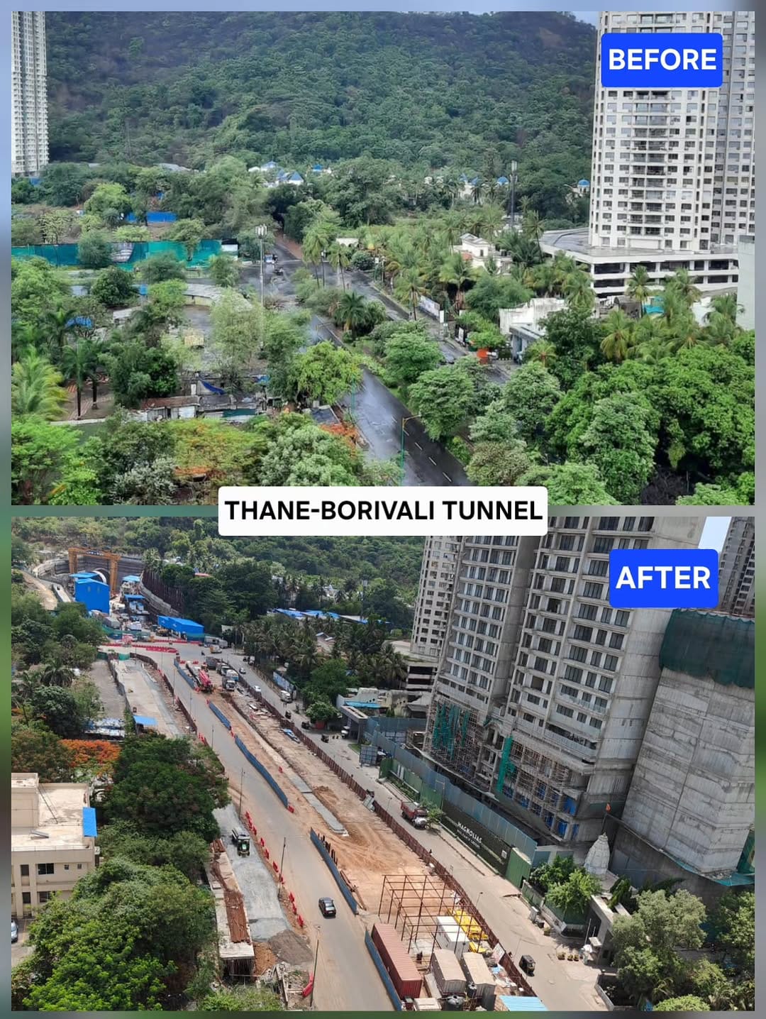 Post 2 by Aarey Conservation Group on Instagram (image)