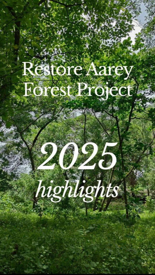 Post 6 by Aarey Conservation Group on Instagram (video)
