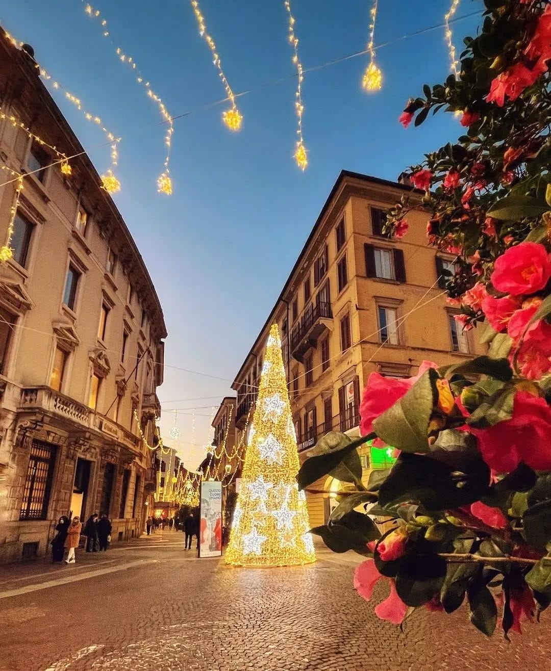 Post 6 by Instagramers Brescia on Instagram (image)