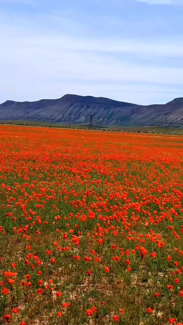 Post 7 by ❦︎❥︎𝑴𝒂𝒈𝒅𝒂𝒏𝒍𝒚_𝒐𝒇𝒇𝒊𝒄𝒊𝒂𝒍❥︎❦︎ on Instagram (video)