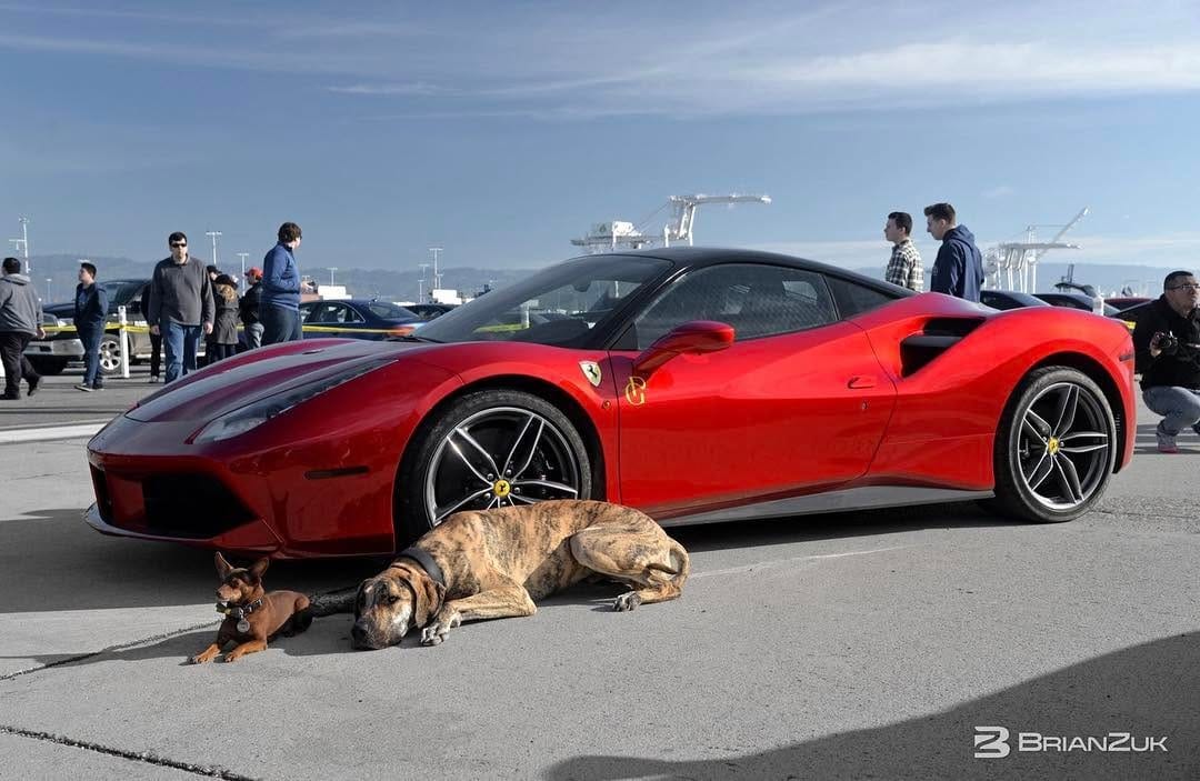 Post 3 by Cars and Coffee San Francisco on Instagram (image)