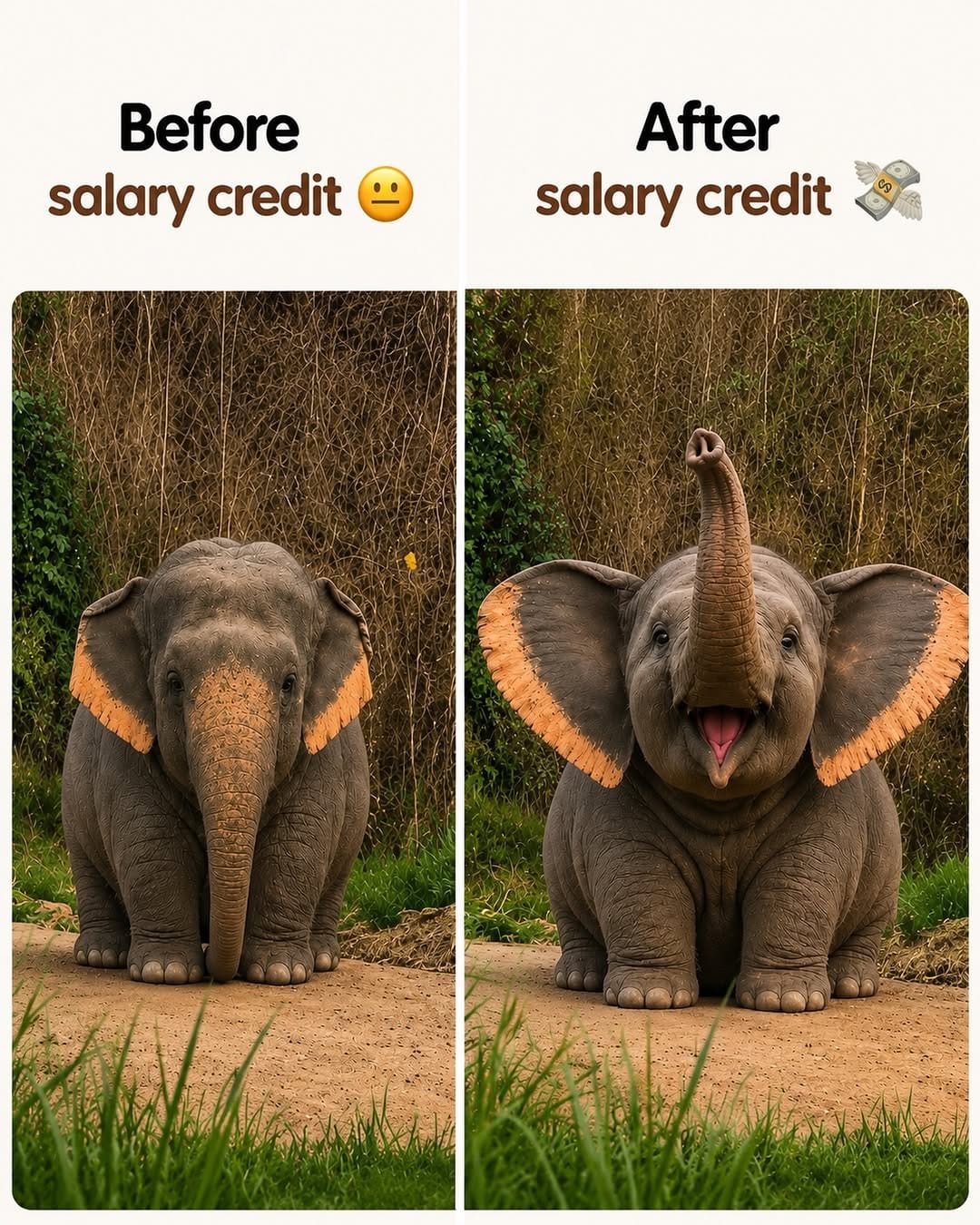 Post 9 by Grow Solutions on Instagram (image)