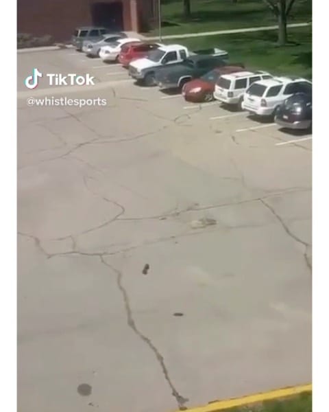 Post 8 by Awesome People on Instagram (video)