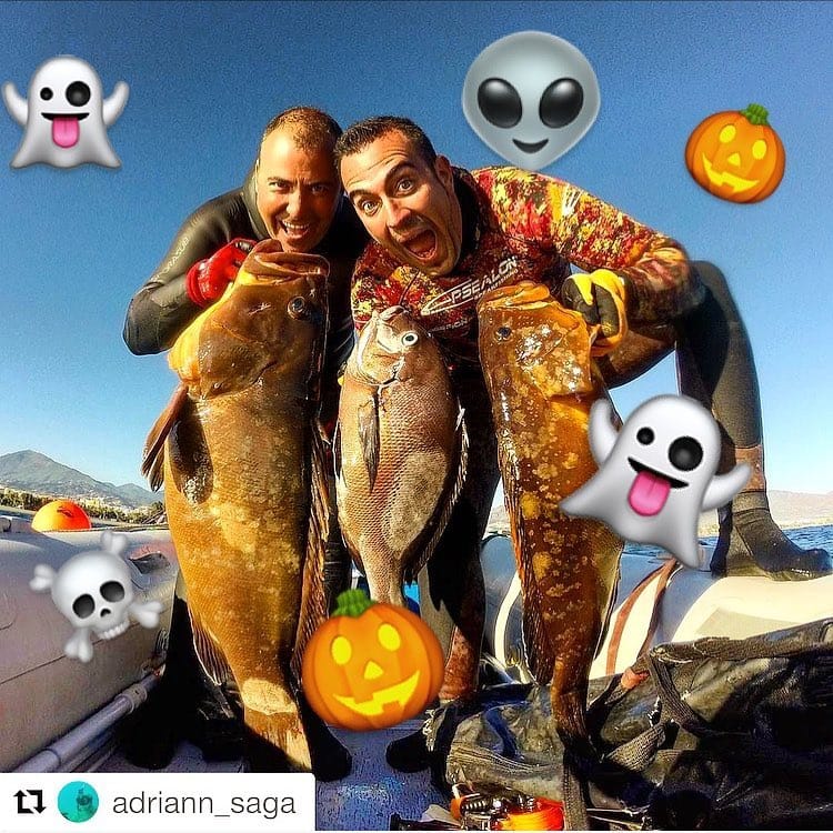 Post 3 by Pesca Submarina España on Instagram (image)