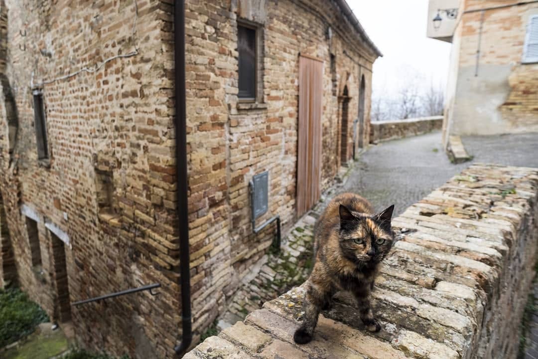 Post 9 by Marche Land on Instagram (image)