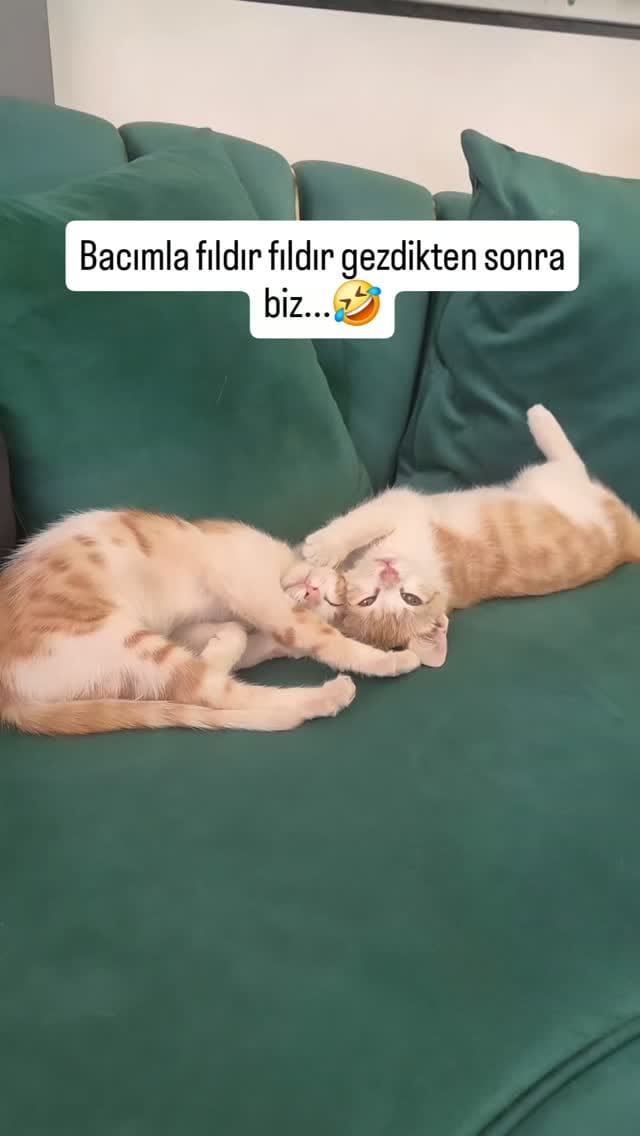 Post 5 by @gaziantep_ella_hairmakeup on Instagram (video)