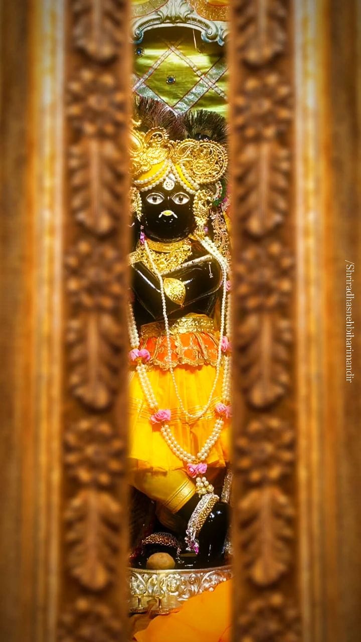 Post 8 by Thakur Shri Radha Sneh Bihari Ji Mandir on Instagram (video)